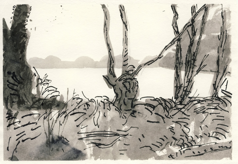 Voskamp,%20Geert_Gewassen%20pentekening%2012%20(18%20x%2012,5%20cm)_